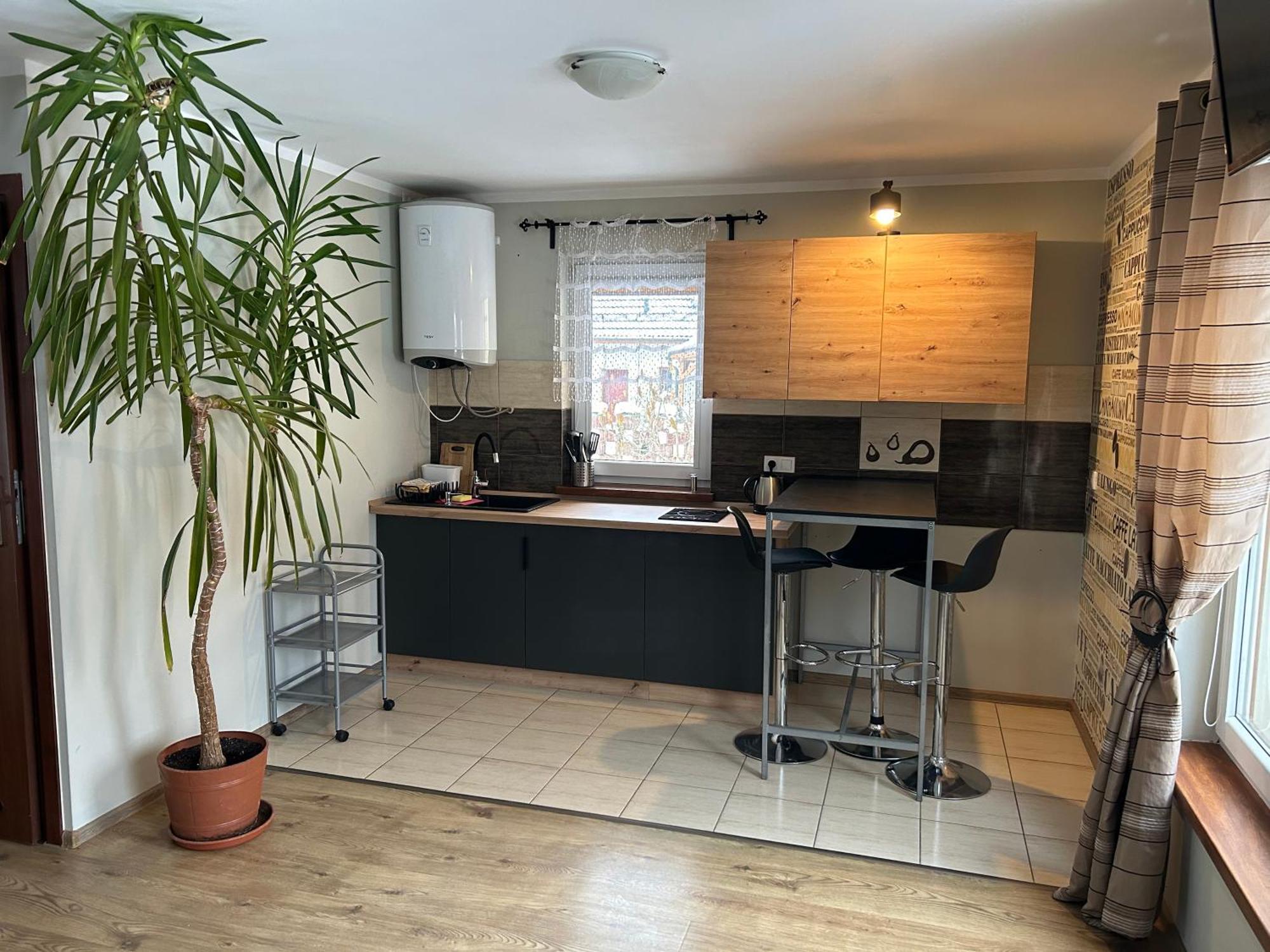 Apartamenty Antonio Kudowa Zdroj Ngoại thất bức ảnh
